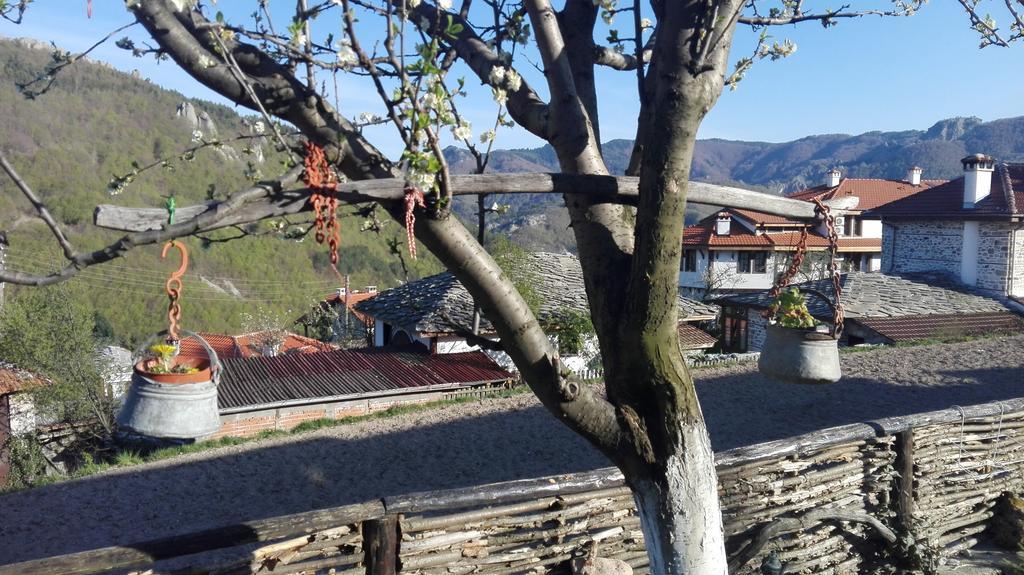 Semana Guesthouse Vrata Bagian luar foto