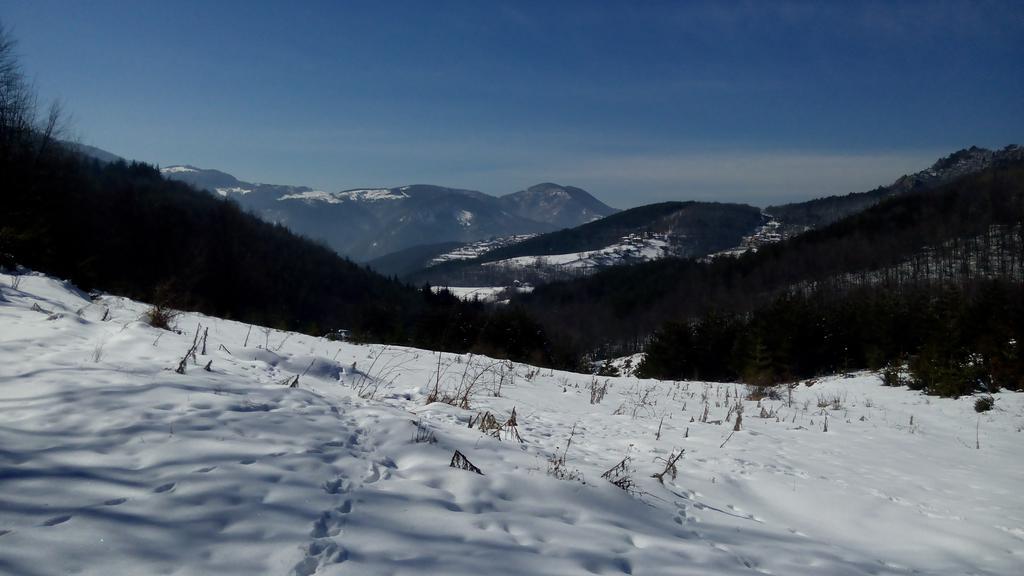 Semana Guesthouse Vrata Bagian luar foto