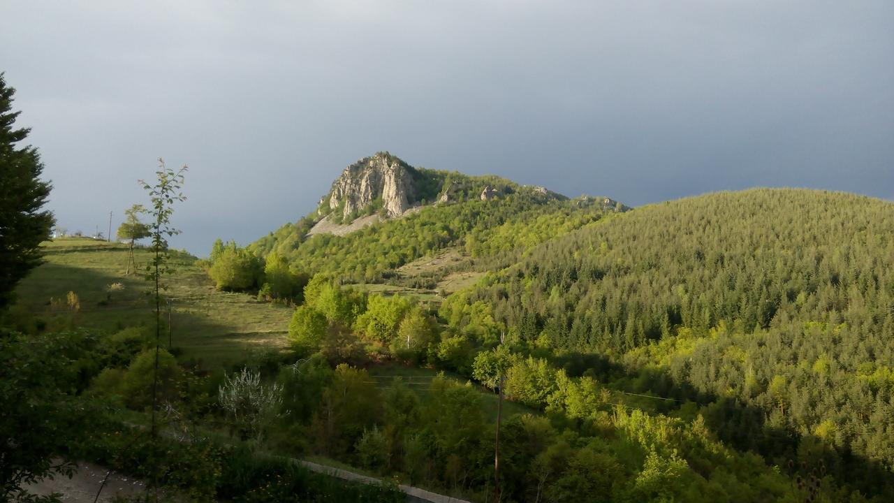Semana Guesthouse Vrata Bagian luar foto